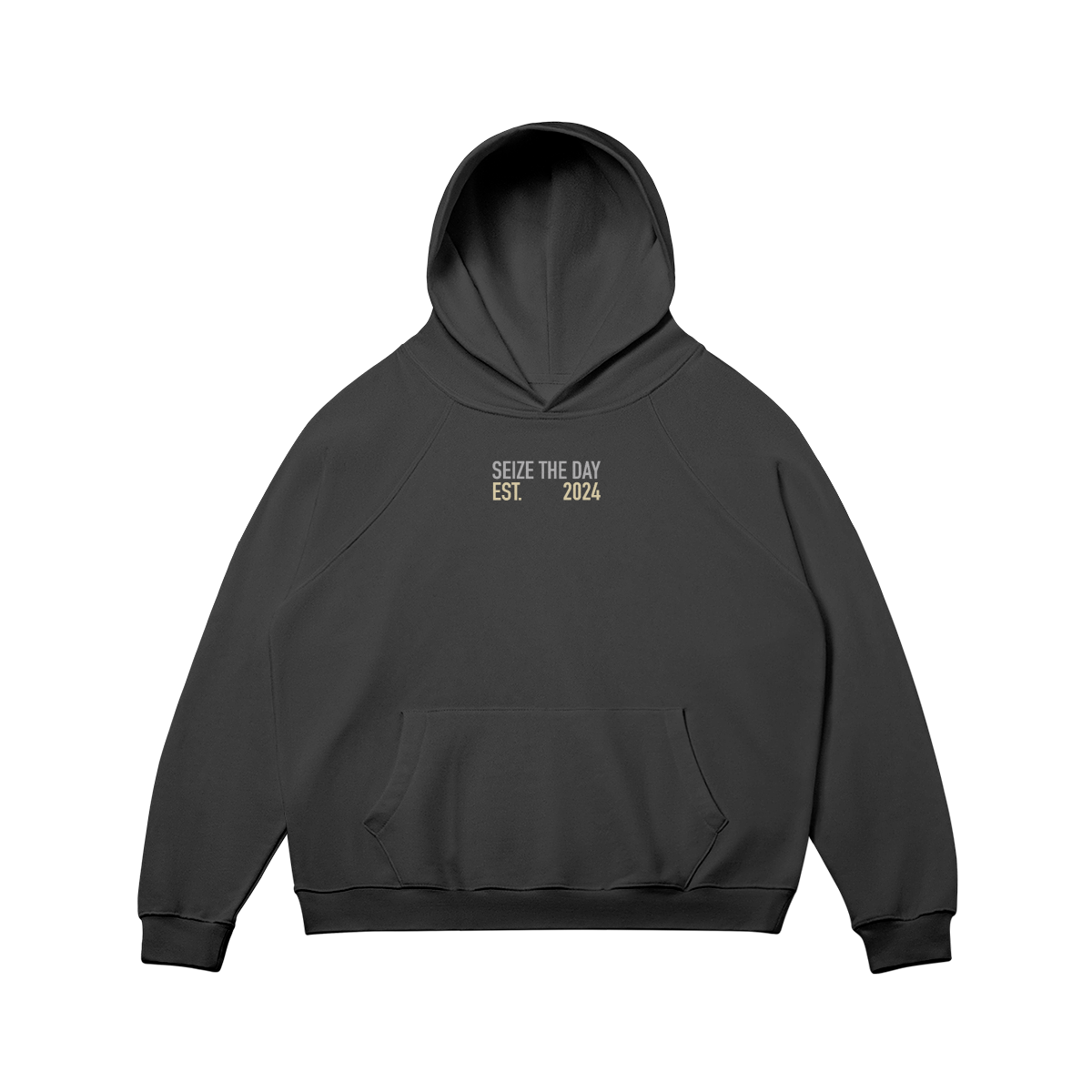 ESTABLISHED Hoodie