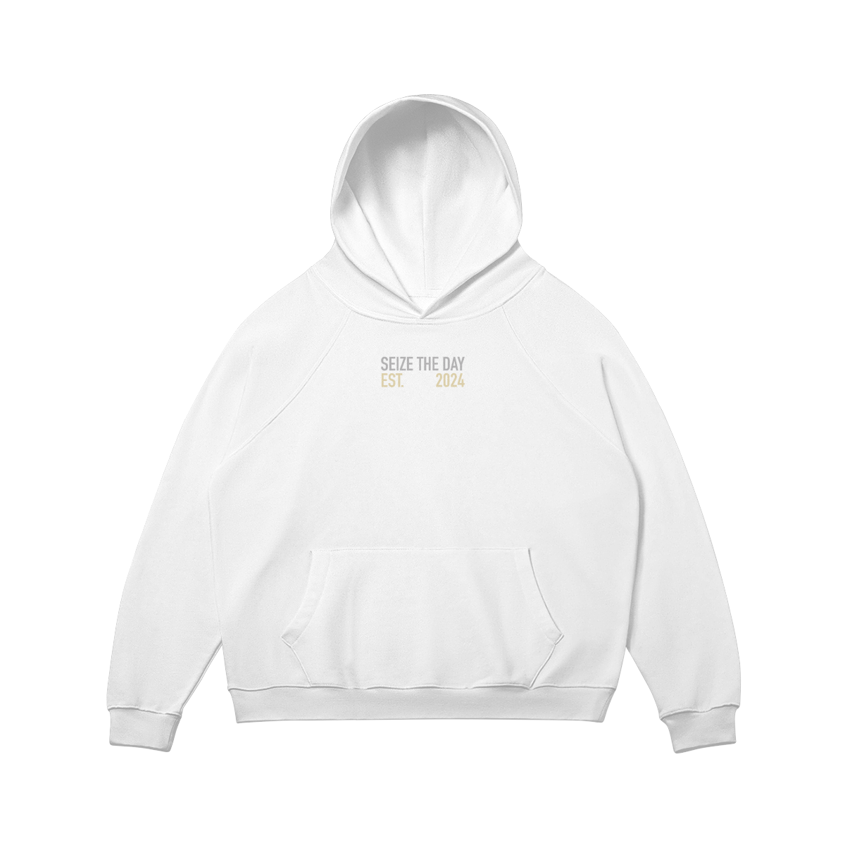 ESTABLISHED Hoodie